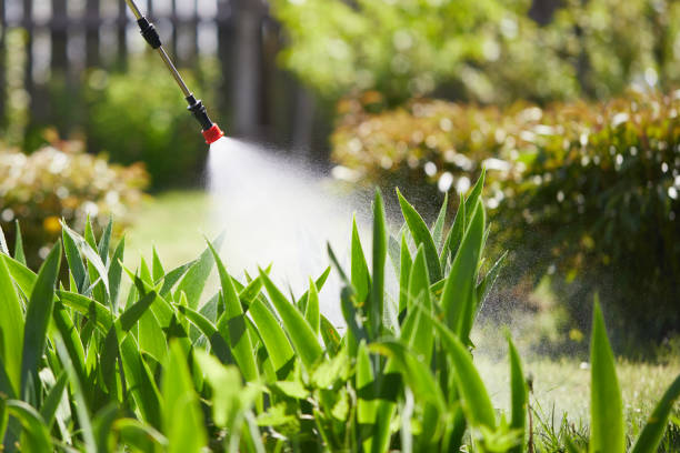 Tamper-Resistant Bait Stations for Rodents in Clementon