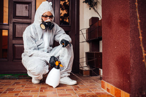 Attic and Crawl Space Rodent Treatment in Clementon