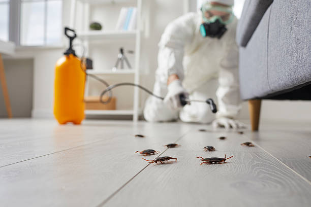 Commercial Rodent Management in Clementon